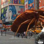 Bed bugs in Times Square